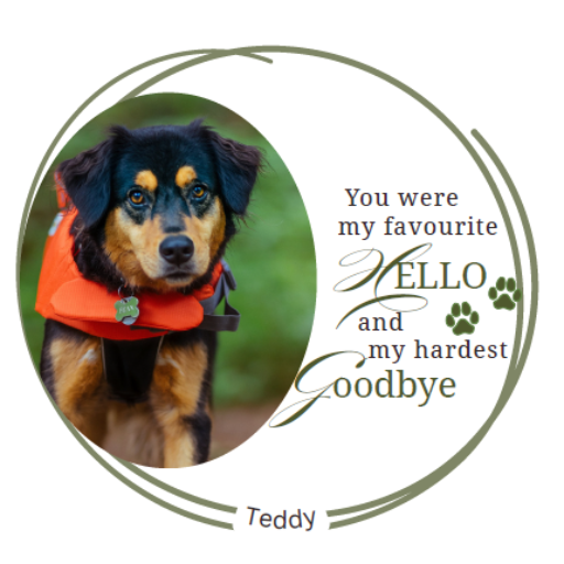 Personalised Pet Memorial Photo Bauble