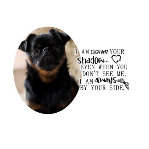 Personalised Pet Memorial Photo Bauble